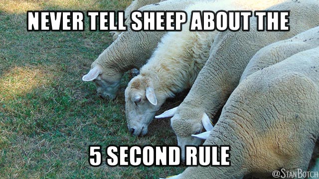 Sheep eating grass meme: Never tell sheep about the 5 second rule.