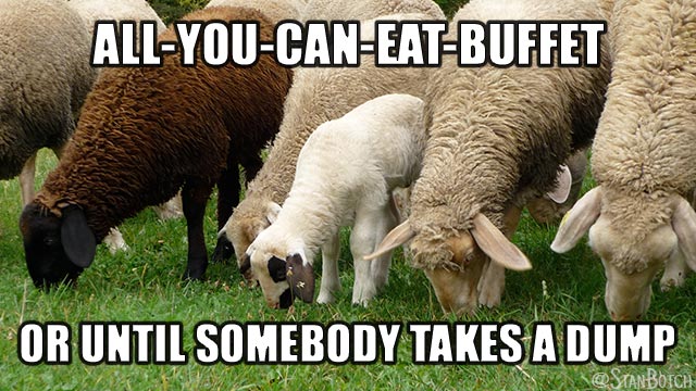 Sheep eating meme: All-You-Can-Eat-Buffet or until somebody takes a dump.