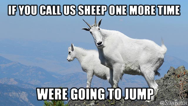 Two mountain goats meme: If you call us sheep one more time were going to jump.