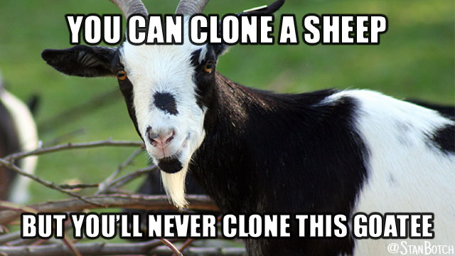 Cool goat meme: You can clone a sheep but you'll never clone this goatee
