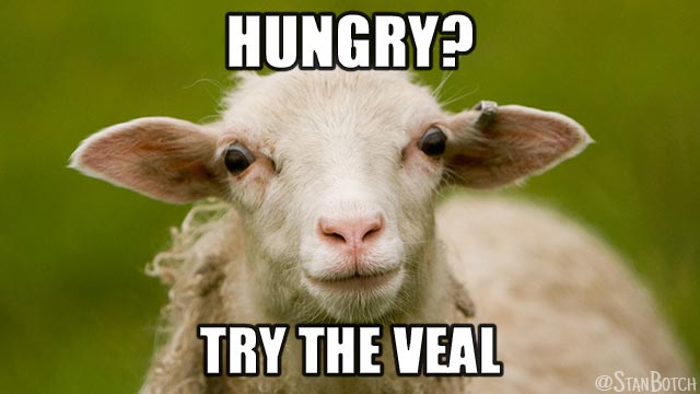 Funny-looking lamb meme: Hungry? Try the veal.