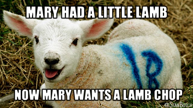 Lamb sitting down meme: Mary had a little lamb, now Mary wants a lamb chop.