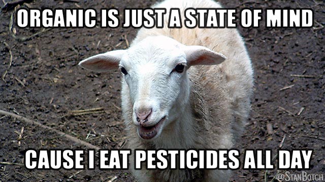 Funny sheep meme: Organic is just a state of mind cause I eat pesticides all day
