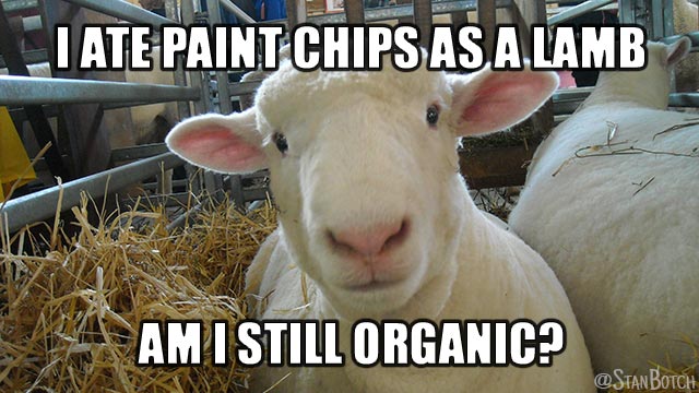 Sheep sitting down meme: I ate paint chips as a lamb. Am I still organic?