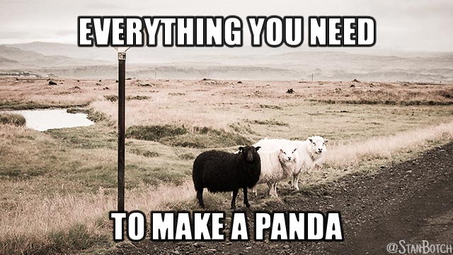 Two white sheep and one black sheep meme: Everything you need to make a panda.