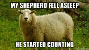 23 Funny Sheep Memes, Botch