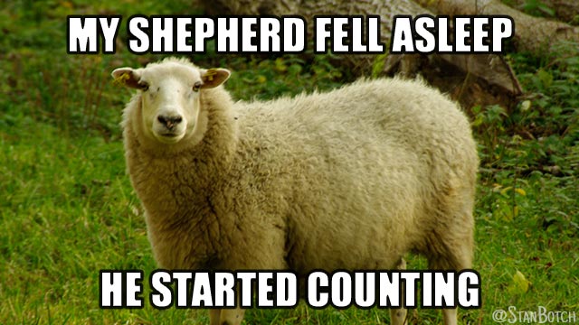 Funny sheep meme: My shepherd fell asleep, he started counting.