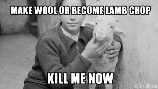 Boy holding a lamb meme: Make wool or become lamb chop? Kill me now.